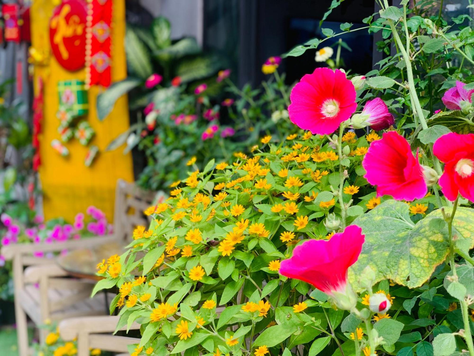 May'S House Hoi An Exterior photo